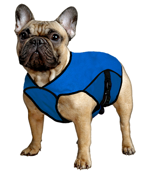 Kühlweste / Aqua Coolkeeper Cooling Pet Jacket